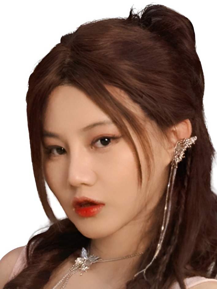 Lin Mujin